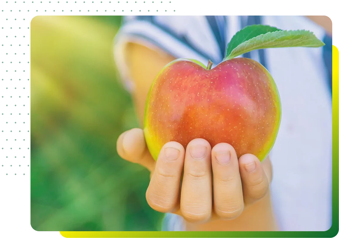 Food additives